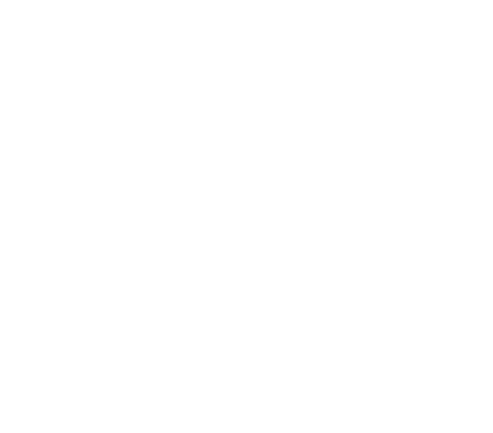 SIDERS